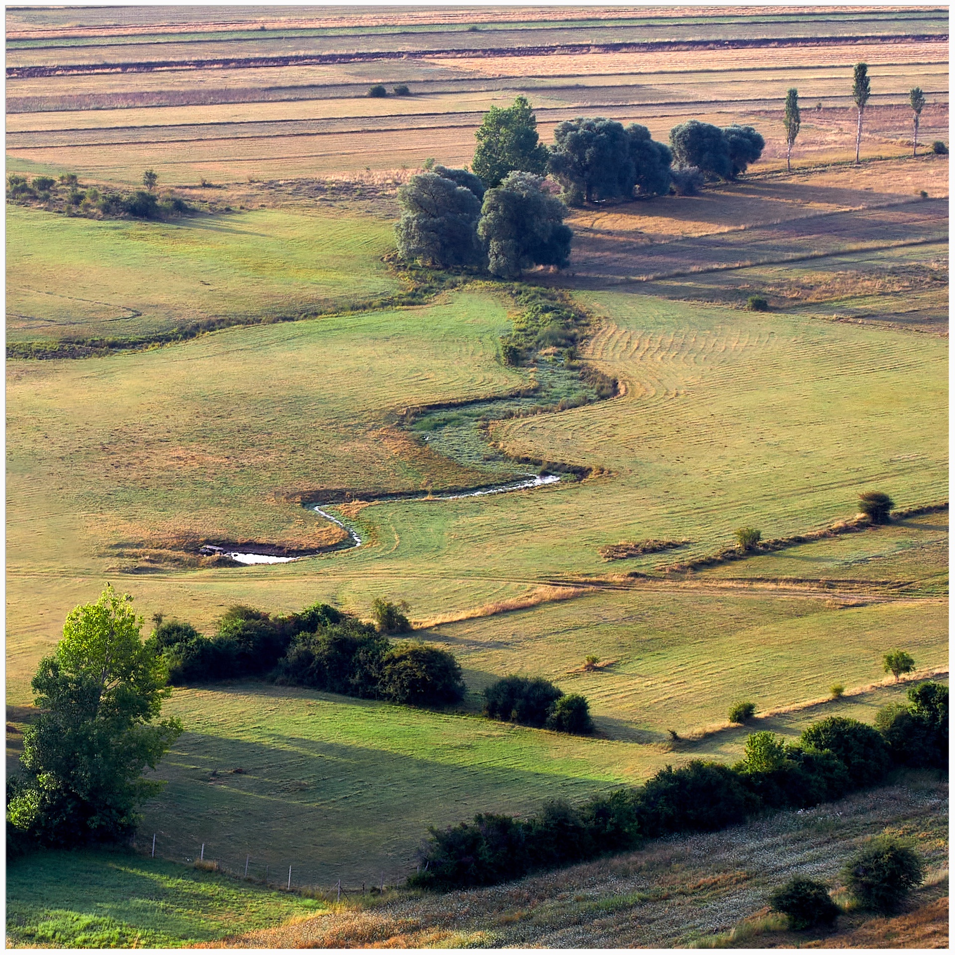 Duvno field III 08-09