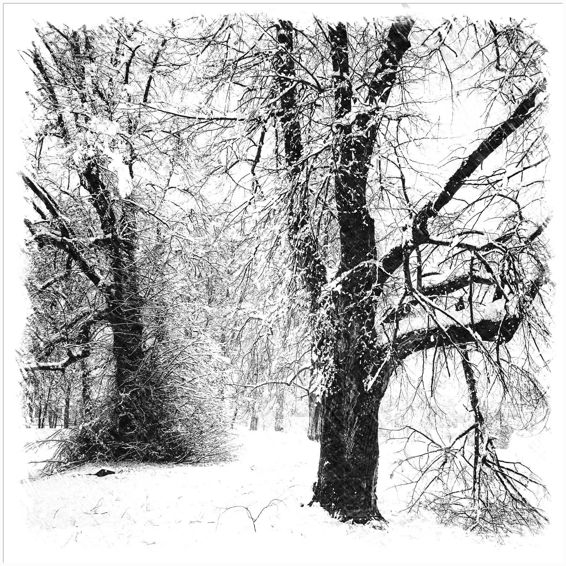 Park KA Zima FX 01-14